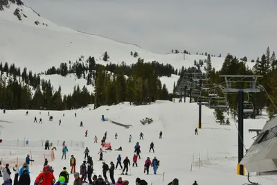 DSC_6668 (Large).JPG